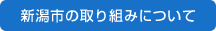 新潟市の取り組みについて